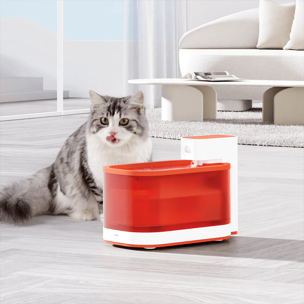 WF03PKR Wireless Mobile Smart Pet Water Fountain